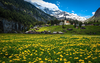 Canton-of-Uri, Uri, Canton, of, swiss, alps HD wallpaper