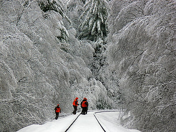Gone Hunting, trees, hunting, men, snow HD wallpaper