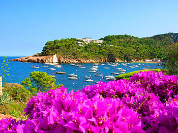 Blue bay, island, blue, colorful, coast, bay, nice, beach, sailboats, quiet, boats, trees, water, dock, ocean, sea, que, beautiful, lagoon, rocks, summer, wind, glowers, breeze, pretty, sailing, nature, port, lovely HD wallpaper