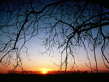 Winter Sunset , winter, sunset HD wallpaper