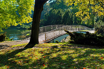 Park with lake, river, tranquility, beautiful, grass, lake, park, serenity, trees, bridge, pond HD wallpaper