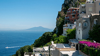 Bushes, Rocks, Buildings, Houses, Sea, Mountain, Boats, Pink, Flowers, Scenery Nature HD wallpaper