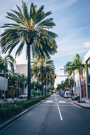 Beverly Hills, Alanisko graphy, Los Angeles charm, Skyline HD phone wallpaper