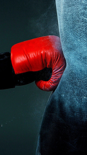 Boxing gloves, Top , Sports background, collection HD phone wallpaper