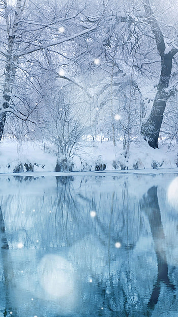 Winter Background, Snow Nature HD phone wallpaper