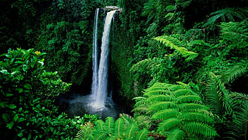 Waterfall, Go Green HD wallpaper