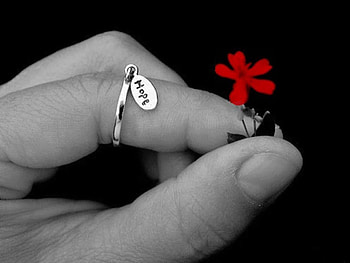 hope, flower, red, beauty, hand HD wallpaper