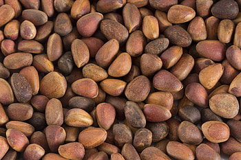 Nuts and seeds, Cliffs notes, Beer pairing, Gourmet combinations HD wallpaper