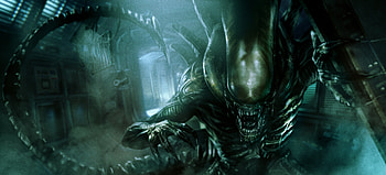 Alien, alien HD wallpaper