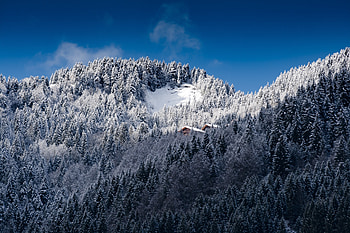 Nature, Trees, Mountains, Snow, Alps HD wallpaper