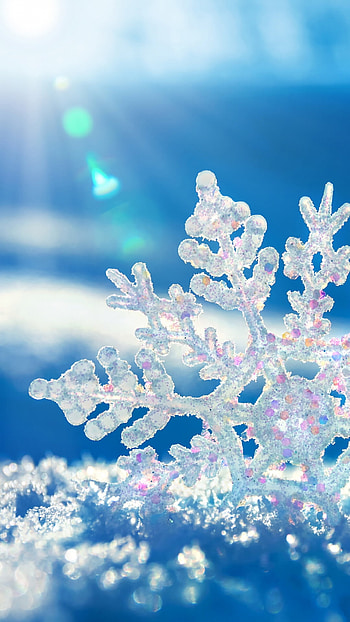 winter , High resolution HD phone wallpaper