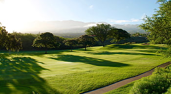 Serene view of a lush green golf course surrounded by trees and mountains, bathed in sunlight. HD wallpaper