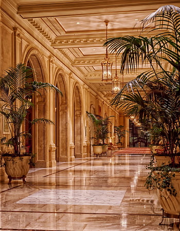 Luxurious hotel lobby featuring elegant lighting and marble flooring, accented by lush indoor plants. HD phone wallpaper