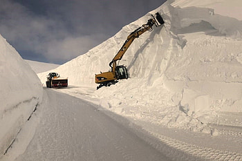 Northern Norway, winter, crane, norway, snow HD wallpaper