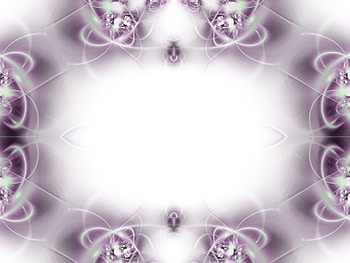 Butterfly Matching, ivory, cool HD wallpaper
