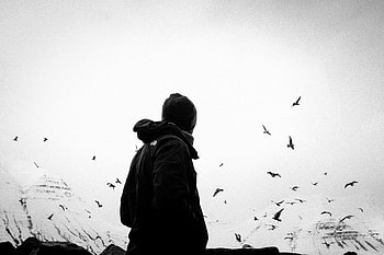 Birds, Miscellanea, Miscellaneous, Bw, Chb, Human, Person, Loneliness, Lonely, Alone HD wallpaper