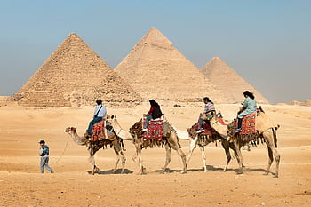 Tourists riding camels near the Great Pyramids of Giza, Egypt under clear skies. HD wallpaper