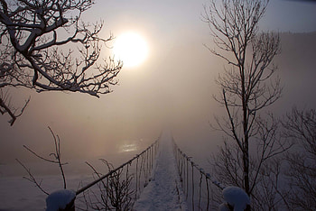 Landscape, Winter, Bridges HD wallpaper