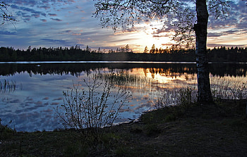 Reassuring, water, sun, lake, tree HD wallpaper