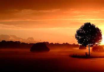 Sunset, sky, forests, nature, sunsets HD wallpaper