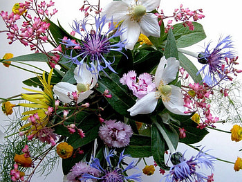 Flowers, Carnations, Greens, Bouquet, Composition HD wallpaper
