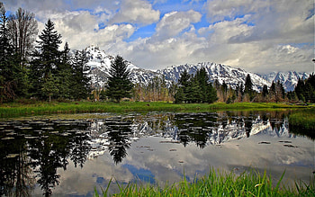 Nature, Rivers, Trees, Grass, Mountain HD wallpaper