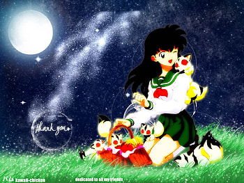 Thank you, basket, kilala, kagome, kirara, pinic HD wallpaper