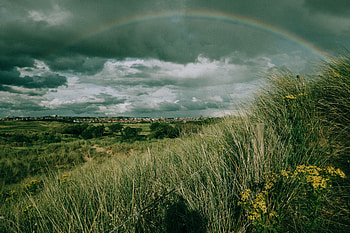 Nature, Grass, Sky, Rainbow, Field HD wallpaper