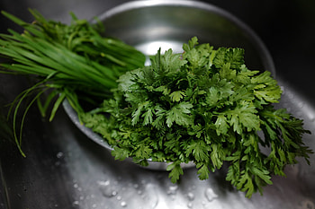 Genetic test, Cilantro preference, Taste genetics, Cilantro acceptance HD wallpaper