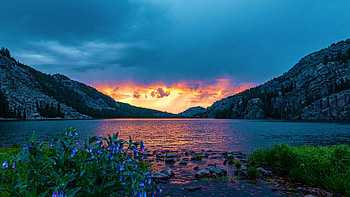 Solitude, Cloud Peak Wilderness, Wyoming, clouds, sky, flowers, mountains, usa, lake HD wallpaper