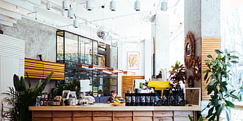 Stylish coffee shop interior with bright lighting and lush plants in Sochi, Russia. HD wallpaper