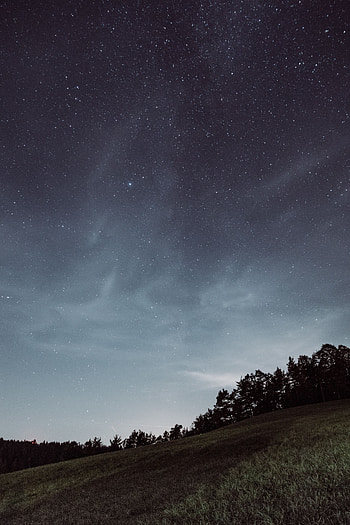 Nature, Grass, Stars, Horizon, Starry Sky, Field HD phone wallpaper