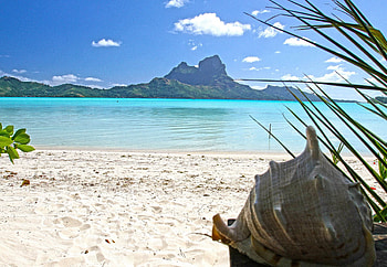 Perfect Blue Lagoon Ocean and Conch Shell on Bora Bora Paradise Island Tahiti, island, blue, sand, tropical, conch, perfect, tahiti, beach, reef, volcanic, volcano, islands, ocean, society, sea, coral, escape, pacific, luxury, paradise, beautiful, south, lagoon, french, mountain, shell, atoll, bora bora, polynesia HD wallpaper