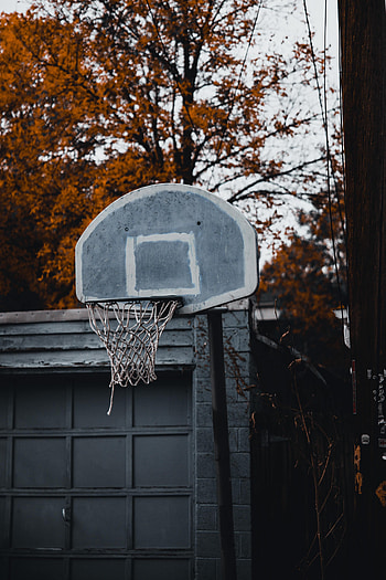 Sports, Basketball, Basket, Basketball Hoop, Basketball Ring HD phone wallpaper