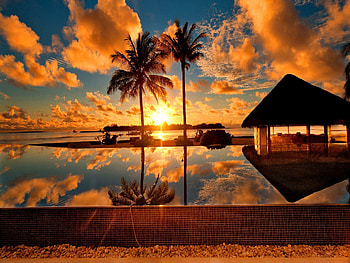 Tropical, Sunrises HD wallpaper