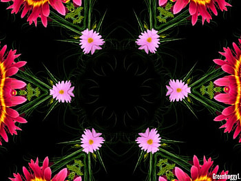 FLOWER KALEIDOSCOPE, ART, PRETTY, ABSTRACT HD wallpaper