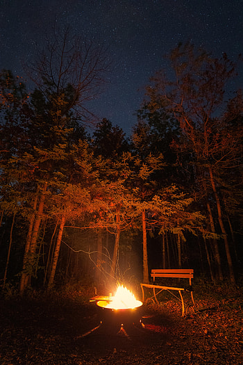 Bonfire, Night, Dark, Forest, Bench HD phone wallpaper