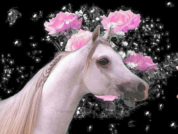 Flower Horse, horses, nature, flowers, arabians HD wallpaper