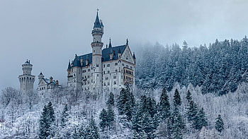 Winter, Neuschwanstein Castle HD wallpaper