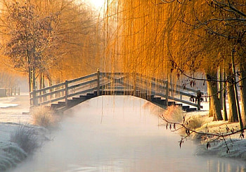 Bridge on Canal, bridge, canal, beautiful HD wallpaper