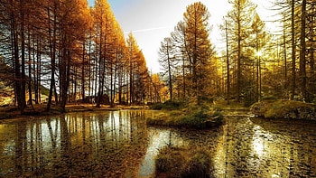 Awesome Autumn Vision, Lakes, Trees, Fall, Nature, Autumn HD wallpaper