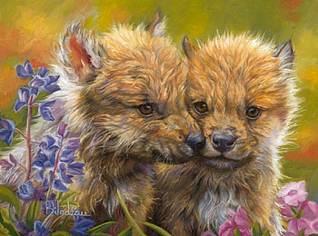 young wolves, welpen, wolves, wolf, wolve HD wallpaper