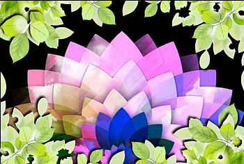 leaves, loves, color, several HD wallpaper