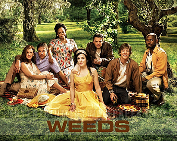 Weeds, Weeds TV Drama, Weeds TV Comedy Drama, Weeds TV Show HD wallpaper