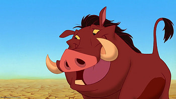 Timon and Pumbaa, TV series, Animation, Pumba HD wallpaper