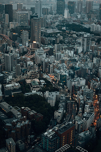 Cities, City, Lights, Road, Evening HD phone wallpaper