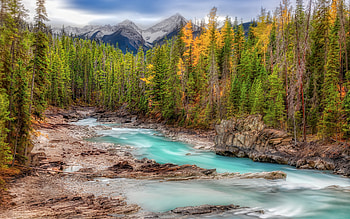 mountain river, forest, cloudy weather, glacial water, mountain landscape, Canada, North America HD wallpaper