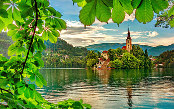 Lake Bled, Slovenia, island, beautiful, reflections, lake, Bled, branches, trees, view, castle, forest, Slovenia HD wallpaper