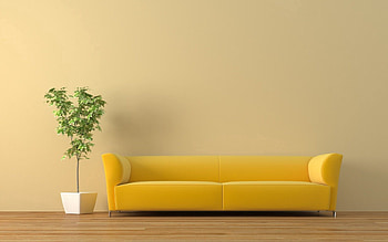 Plant, Miscellanea, Miscellaneous, Sofa, Tub HD wallpaper