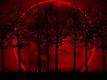 Trees, Sky, Night, Texture, Textures, Eclipse, Bloody HD wallpaper